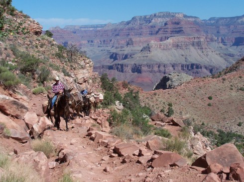 south kaibab trail