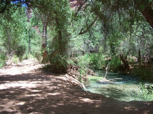 havasu river
